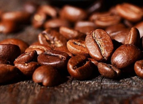 قیمت قهوه صد عربیکا با کیفیت ارزان + خرید عمده